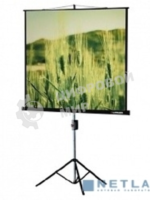 Экран на треноге Lumien 153x153см Master View LMV-100102 1:1 напольный рулонный