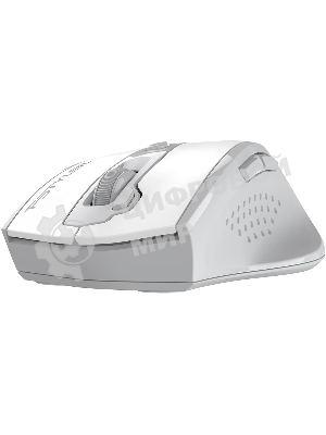 Мышь A4Tech Fstyler FG55S Plus белый оптическая 1200dpi беспров. USB
