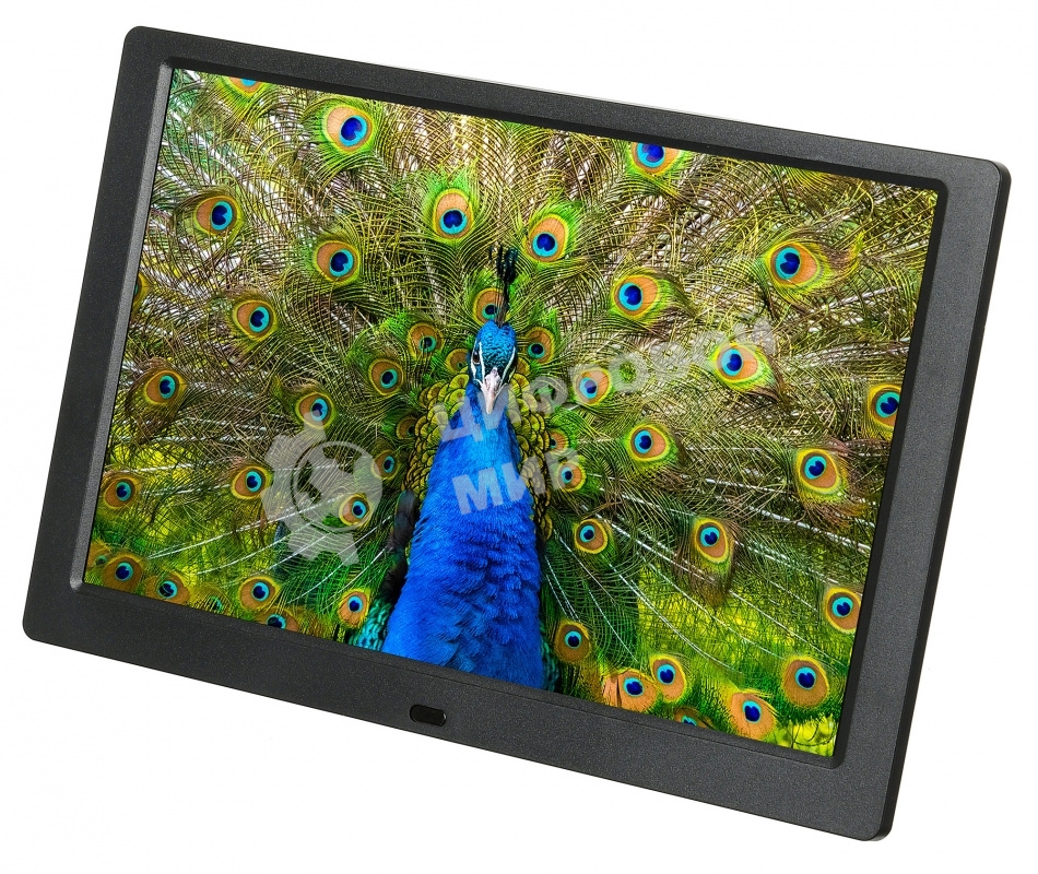 Фоторамка Digma 10.1