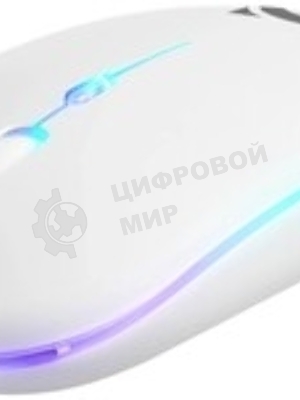 Мышь беспроводная Defender Coda MB-261 белый, 1600 dpi, радиоканал, Bluetooth, USB, кнопки - 4