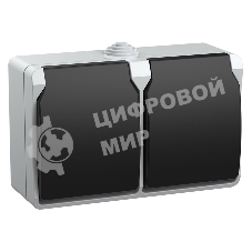 Розетка двухместная РСб22-3-ФСр с з/к для открытой установки IP54 Форс ERS22-K03-16-54-DC IEK