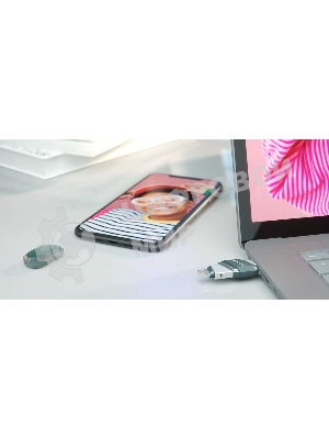 Флешка USB Sandisk 128Gb iXpand Flip SDIX90N-128G-GN6NE USB3.1 зеленый/серебристый