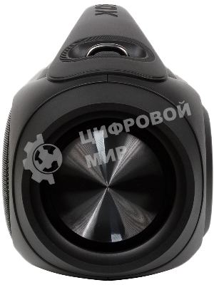 Колонка портативная Digma D-PS1531 черный/черный 40W 2.0 BT 10м 3000mAh