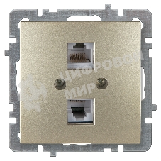 Nilson Механизм роз. 2-местн. компьютерная СУ, (RJ45 САТ6), ТУРАН-АЛЕГРА-ТОР, metallic, золото (24150447)
