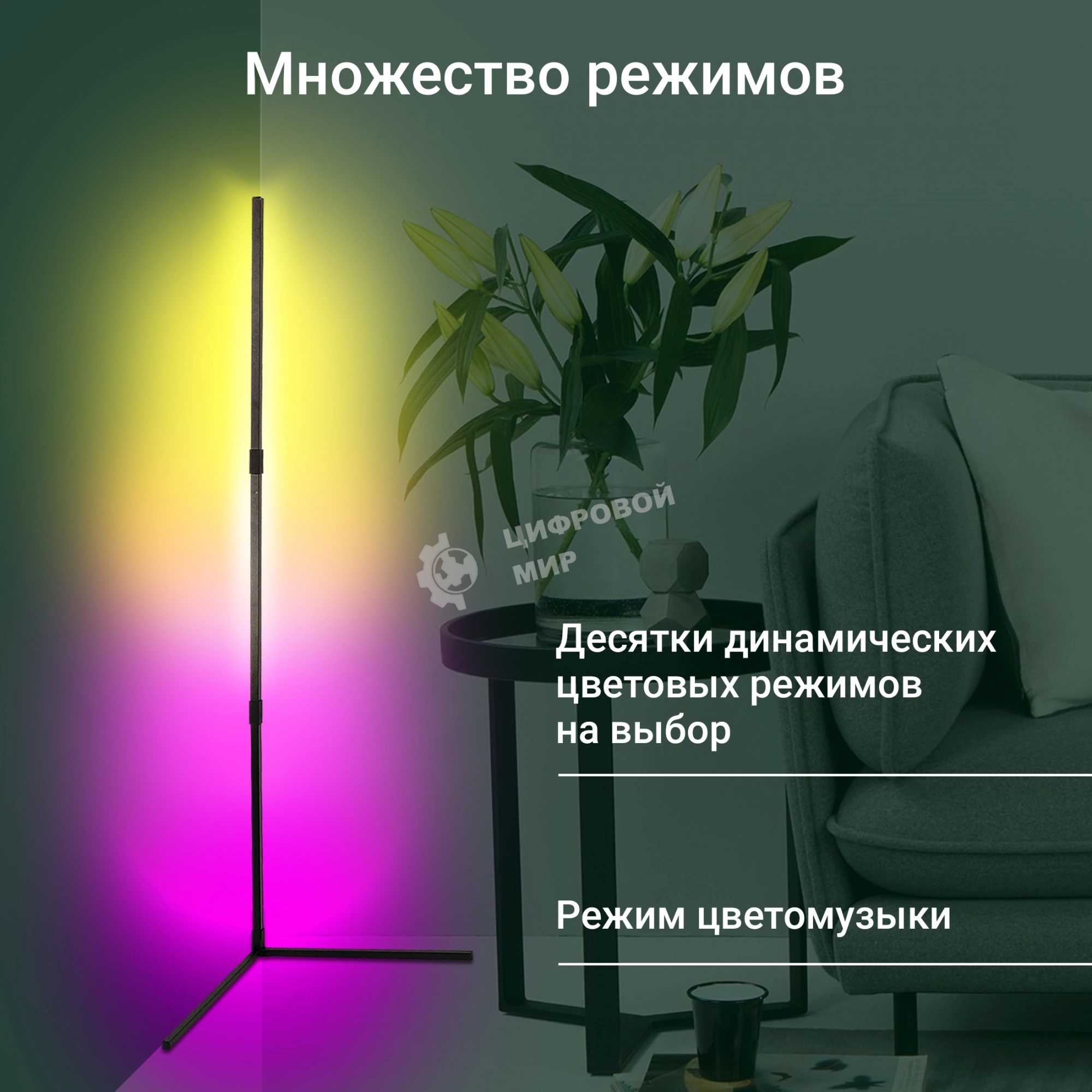 Умный светильник Digma FloorLight FL11 напол. черный (FL11)