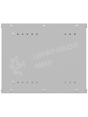Шкаф коммутационный NTSS Lime (NTSS-WL6U5560GS) настенный 6U 550x600 мм пер. дв.стекл несъемн. бок. пан. 30 кг серый 110 град. IP20 сталь