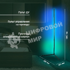 Умный светильник Digma FloorLight FL11 напол. черный (FL11)
