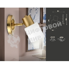 Светильник Ambrella light TR3967 BS/FR латунь/белый матовый  E27 max 40W 140*80*194
