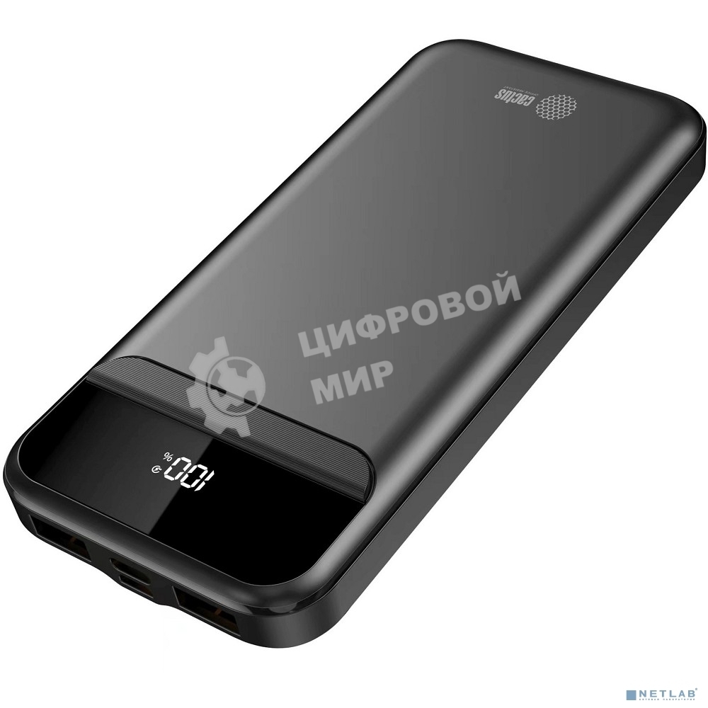 Портативный аккумулятор Cactus CS-PBFSCA-10000 10000mAh 4.5A 2xUSB-A/USB-C черный