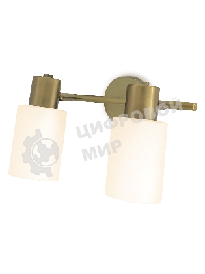 Светильник Ambrella light TR3969/2 BS/FR латунь/белый матовый  E27*2 max 40W 260*80*210