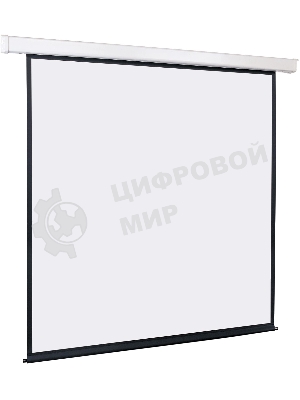 Экран LMC-100105 с электроприводом Lumien Master Control 244x244 см Matte White FiberGlass черная кайма по периметру