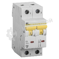 Выключатель автоматический модульный 2п C 6А 6кА ВА47-60M IEK MVA31-2-006-C