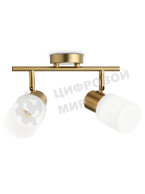 Светильник Ambrella light TR3969/2 BS/FR латунь/белый матовый  E27*2 max 40W 260*80*210
