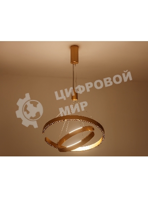 Подвесной светодиодный светильник Ambrella light FL5885/2 GD золото 45W 3000K/4200K/6400K D600/400*1200 (без ПДУ)