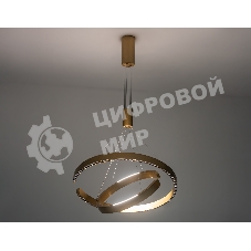 Подвесной светодиодный светильник Ambrella light FL5885/2 GD золото 45W 3000K/4200K/6400K D600/400*1200 (без ПДУ)