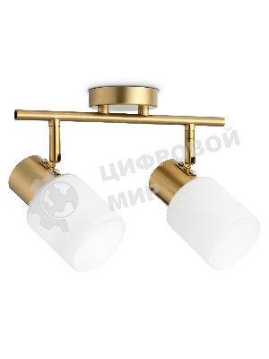 Светильник Ambrella light TR3969/2 BS/FR латунь/белый матовый  E27*2 max 40W 260*80*210