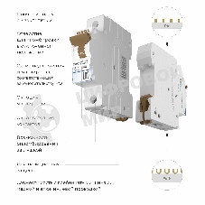 Автоматический выключатель Werkel 1P  40 A  C  6 кА W901P406
