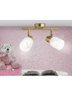 Светильник Ambrella light TR3969/2 BS/FR латунь/белый матовый  E27*2 max 40W 260*80*210