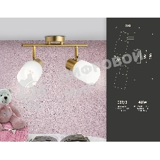 Светильник Ambrella light TR3969/2 BS/FR латунь/белый матовый  E27*2 max 40W 260*80*210