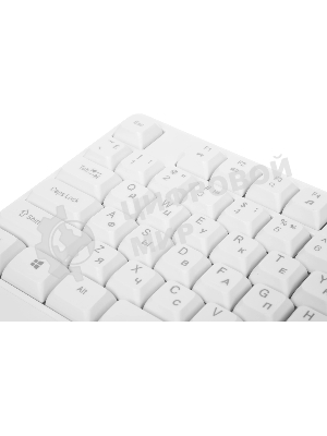 Клавиатура проводная Acer OKW301 (ZL.KBDCC.01B), USB, белый