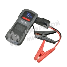 Пуско-зарядное устройство Berkut JSL-19000