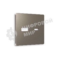 Лицевая панель ALFA (Темная бронза матовый) для розетки 2USB тип A+C QUANT AP6410