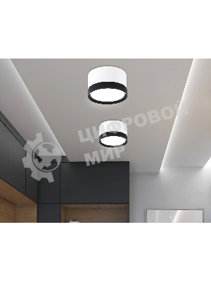 Светильник Ambrella light TN52353 WH/BK белый/черный GX53 max 12W D82*50