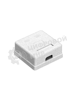 Розетка компьютерная двойная ExeGate SM2-RJ45-C6 RJ-45 кат.6 UTP Krone/110