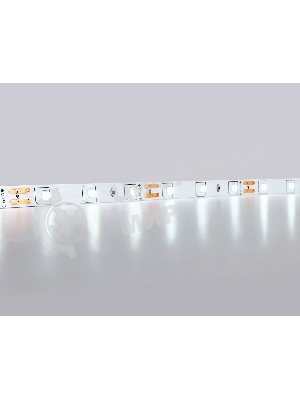 Светодиодная лента GS1003 2835 60Led/ 4.8W m/ 12V IP20 6500K/ 5000*8*1.2mm (2 конт.)