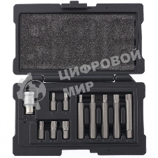 Набор бит Stels SPLINE, шестигранный хвостовик 1 1/2'', CrV, 10 мм, 11 пред.
