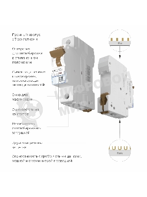 Автоматический выключатель Werkel 1P  20 A  C  6 кА W901P206