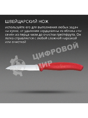 Нож кухонный Victorinox Swiss Classic (6.7401.C1) стальной для чистки овощей и фруктов лезв. 80 мм прямая заточка красный