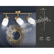 Настенно-потолочный спот TR3972/3 BS/FR латунь/белый матовый E27*3 max 40W 460*80*140