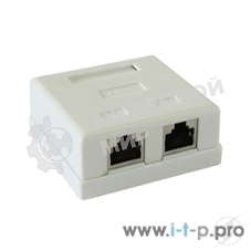 Монтажное оборудование Розетка Gembird NAS214 RJ-45 кат.STP 5e внешняя экранированная 2 порта, 110&Krone